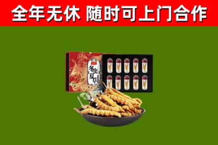 湖州市回收冬虫夏草价格